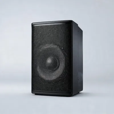 professional speaker